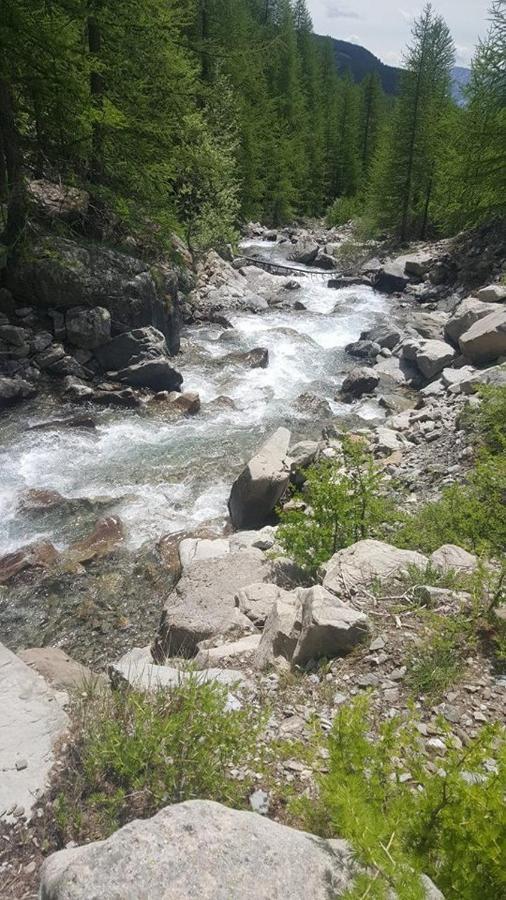 Les Marmottes D Estenc Kültér fotó