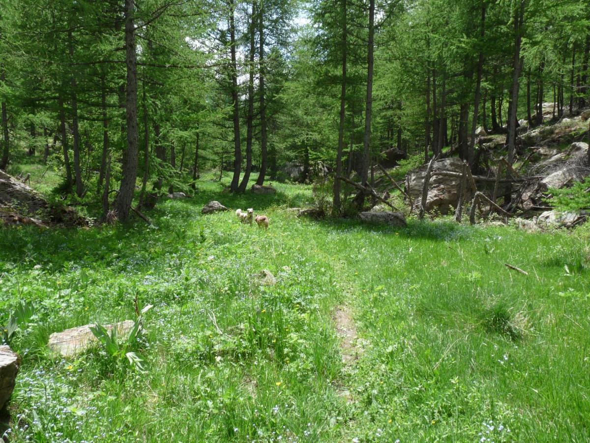 Les Marmottes D Estenc Kültér fotó