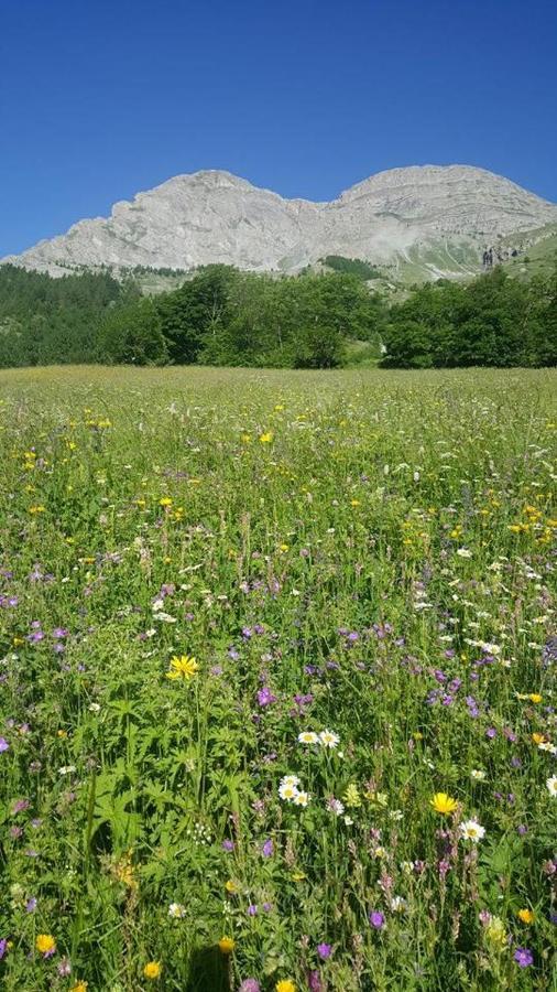 Les Marmottes D Estenc Kültér fotó