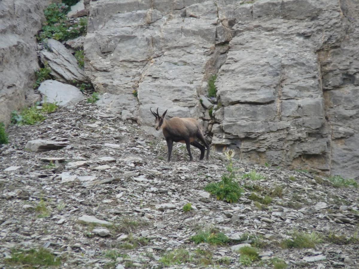 Les Marmottes D Estenc Kültér fotó